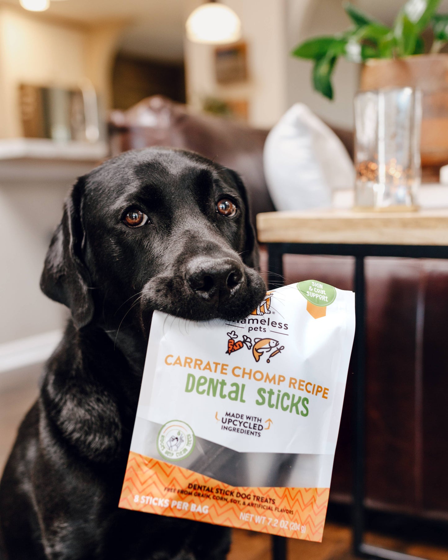 Carrate Chomp Dental Sticks Dog Treats