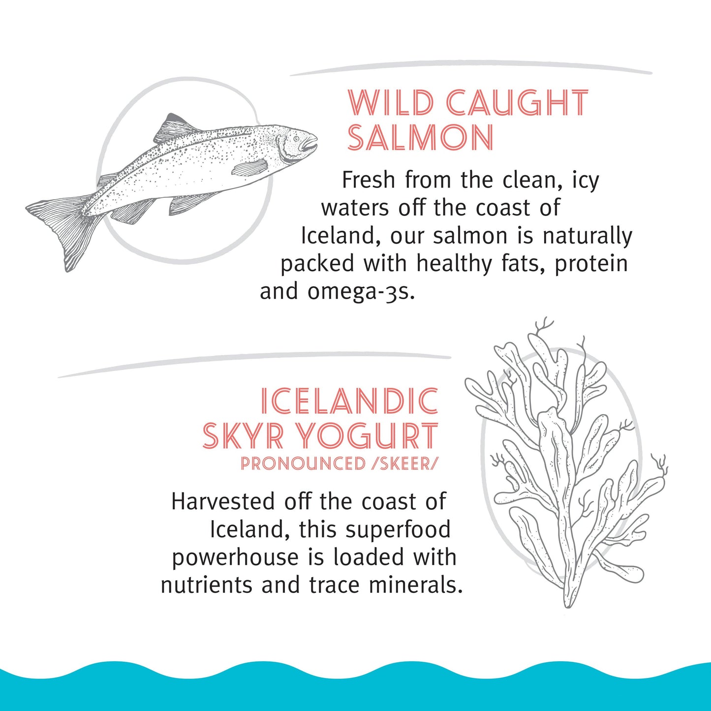 Icelandic+ Soft Chew Nibblets Salmon & Seaweed Dog Treats