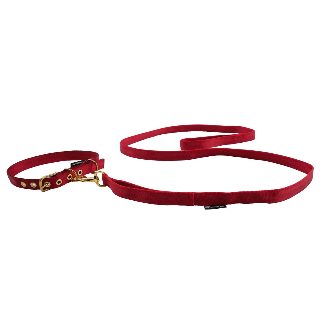 Leashes Seatbelt