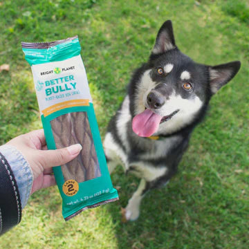 Small Better Bully Chews | 2 Pack