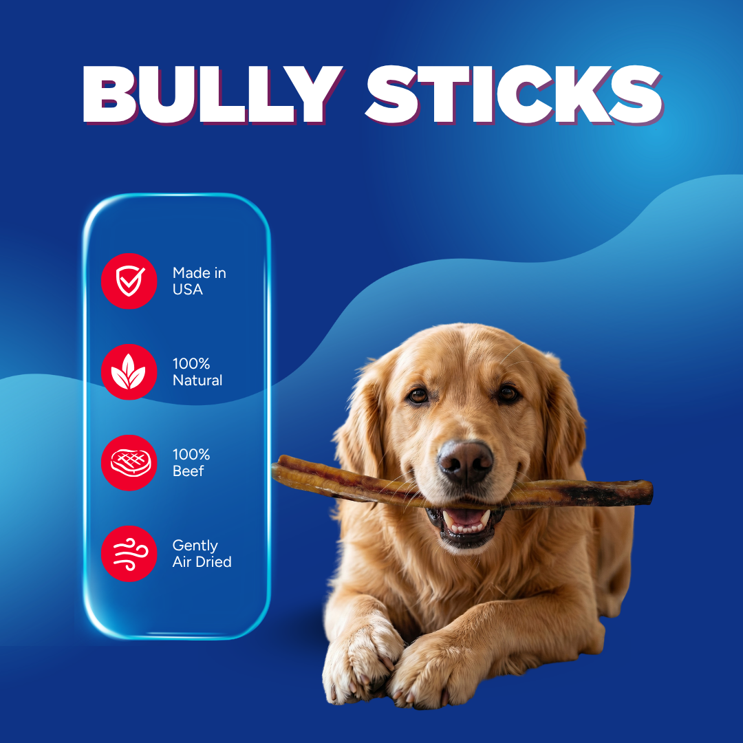 6" Thick USA Bully Sticks | 6 Pack, Very Low Odor