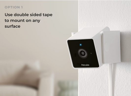 Petcube Cam