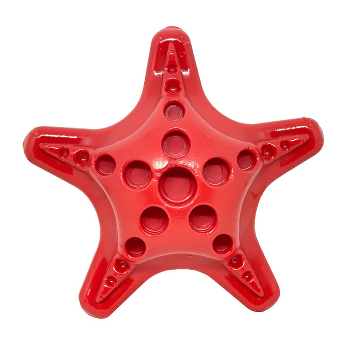 Starfish Ultra Durable Chew Toy
