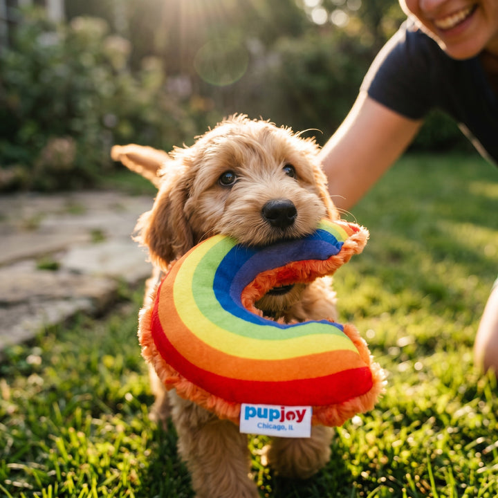 USA Cuddle Fleece Rainbow Toy