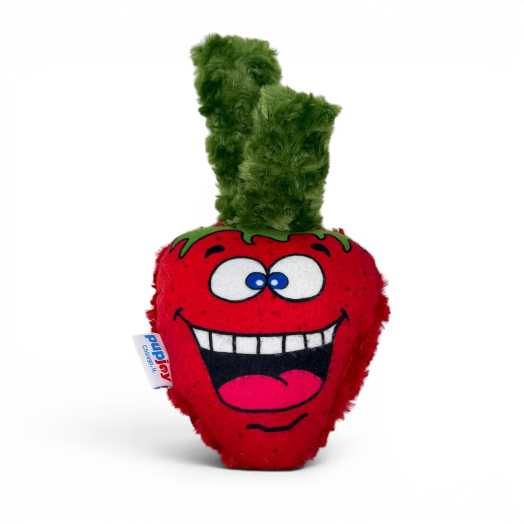 USA Cuddle Fleece Strawberry Toy