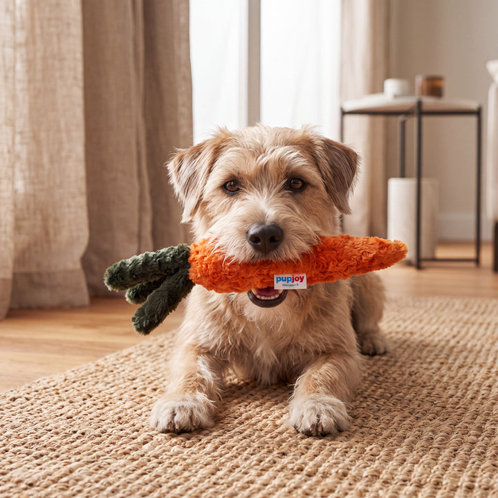 USA Super Plush Carrot Toy