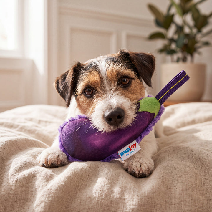 USA Cuddle Fleece Eggplant Toy