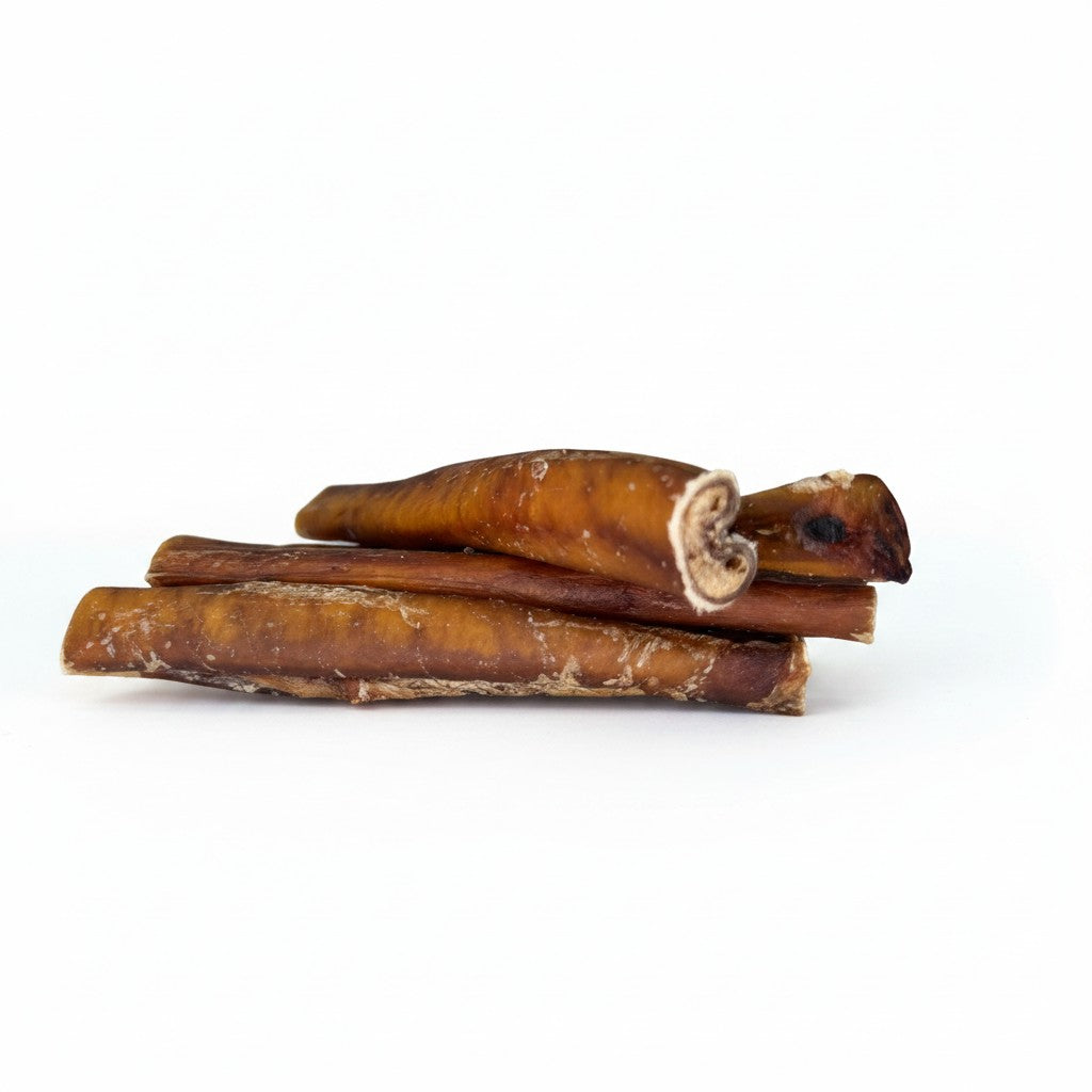 6" Thick Bully Sticks | 6 Pack, Very Low Odor