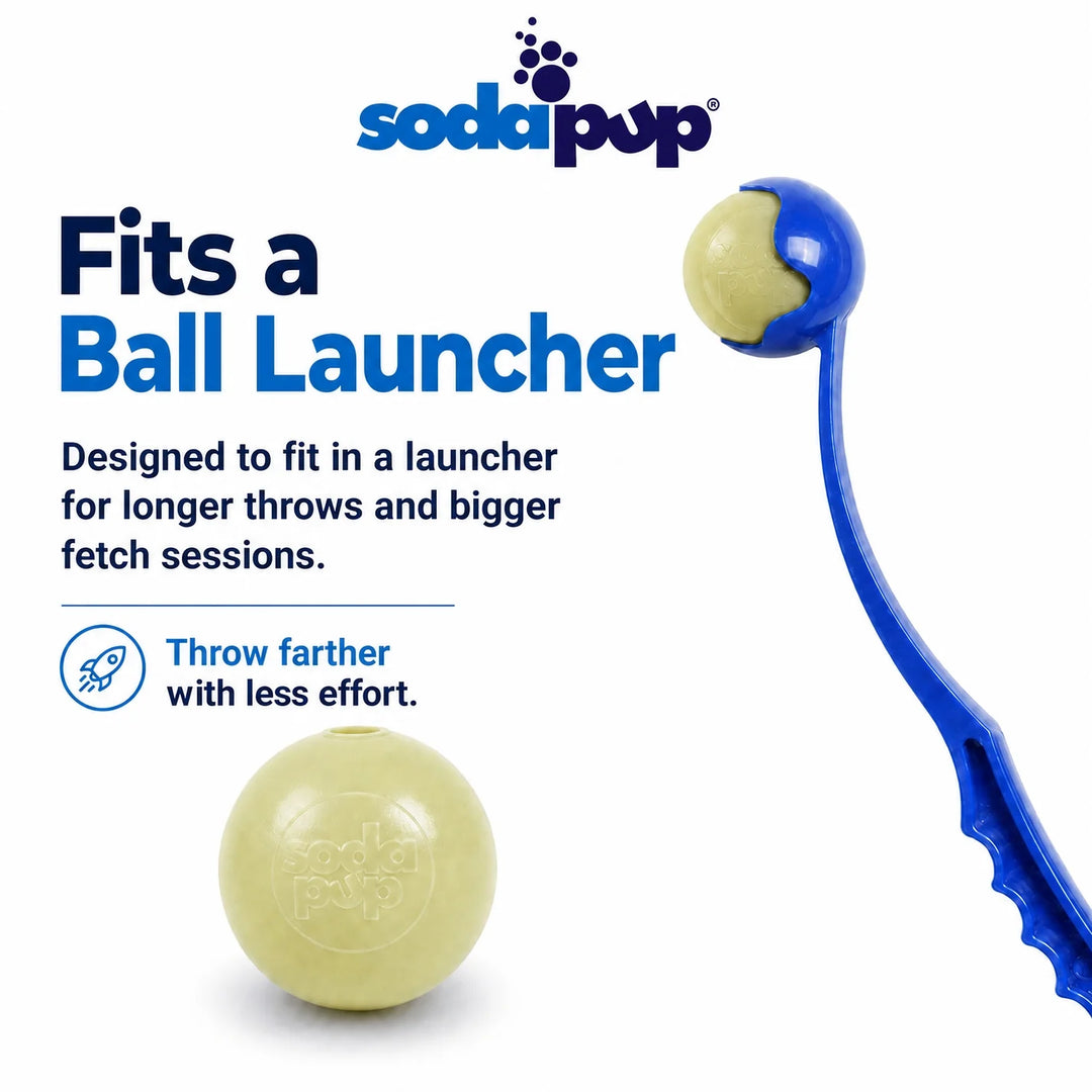 Glitter Ball | Soft PUP-X Rubber Floating Fetch Ball with Treat Dispenser