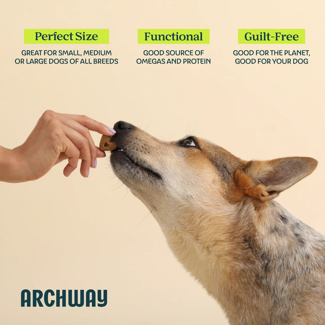 Skin and Coat Health Treats