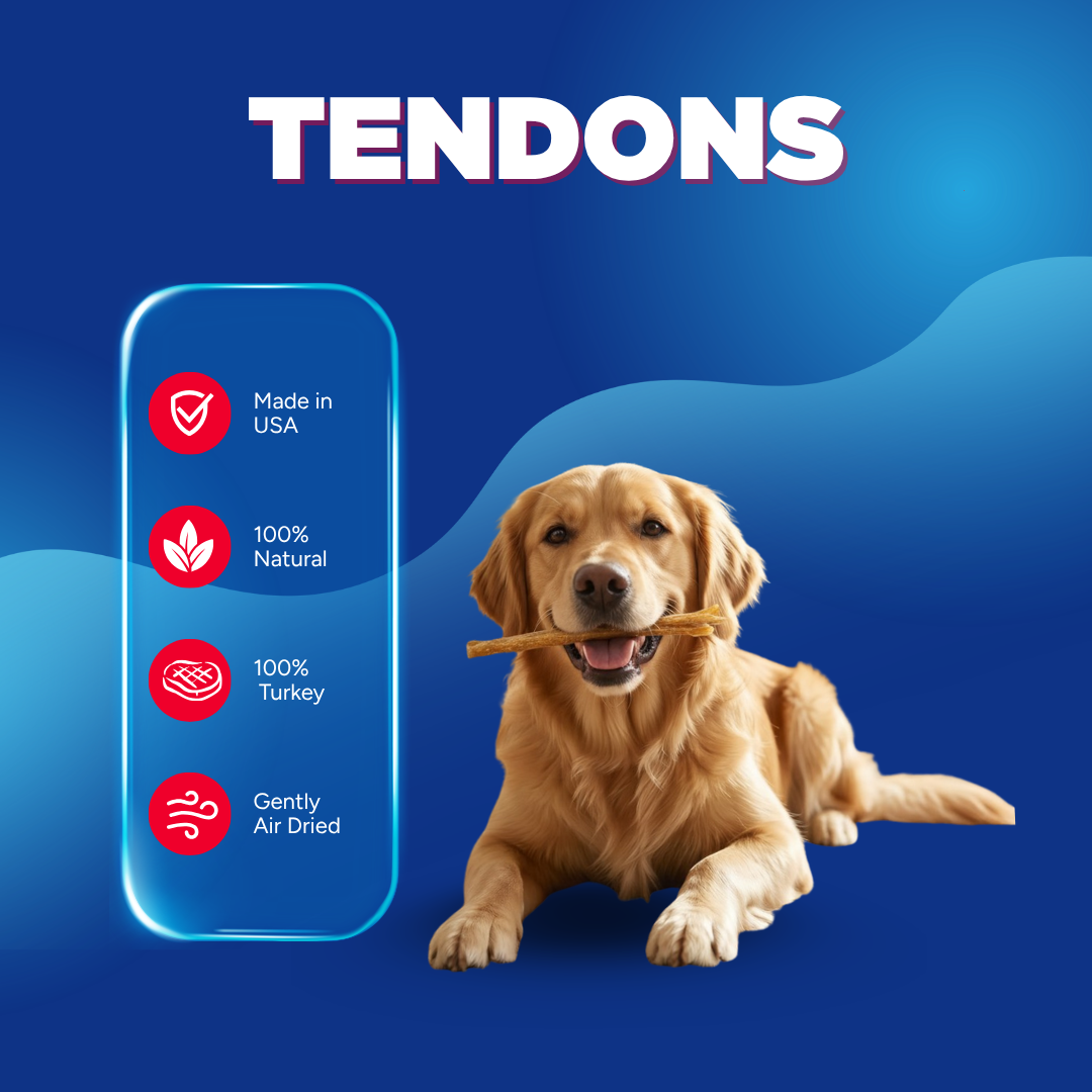 Turkey Tendons | Nearly Odorless, 3 oz