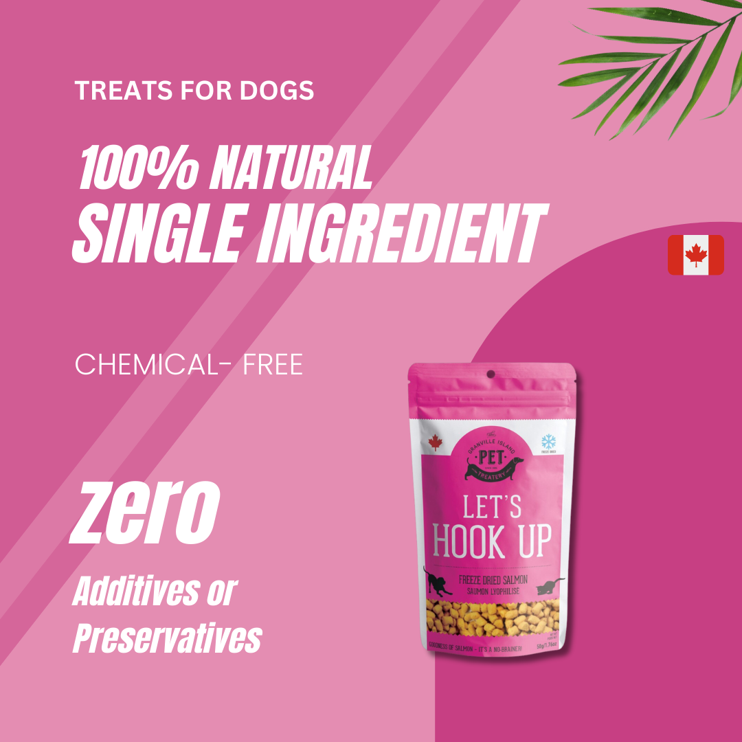 Freeze Dried Wild  Salmon Treat For Dogs 50g