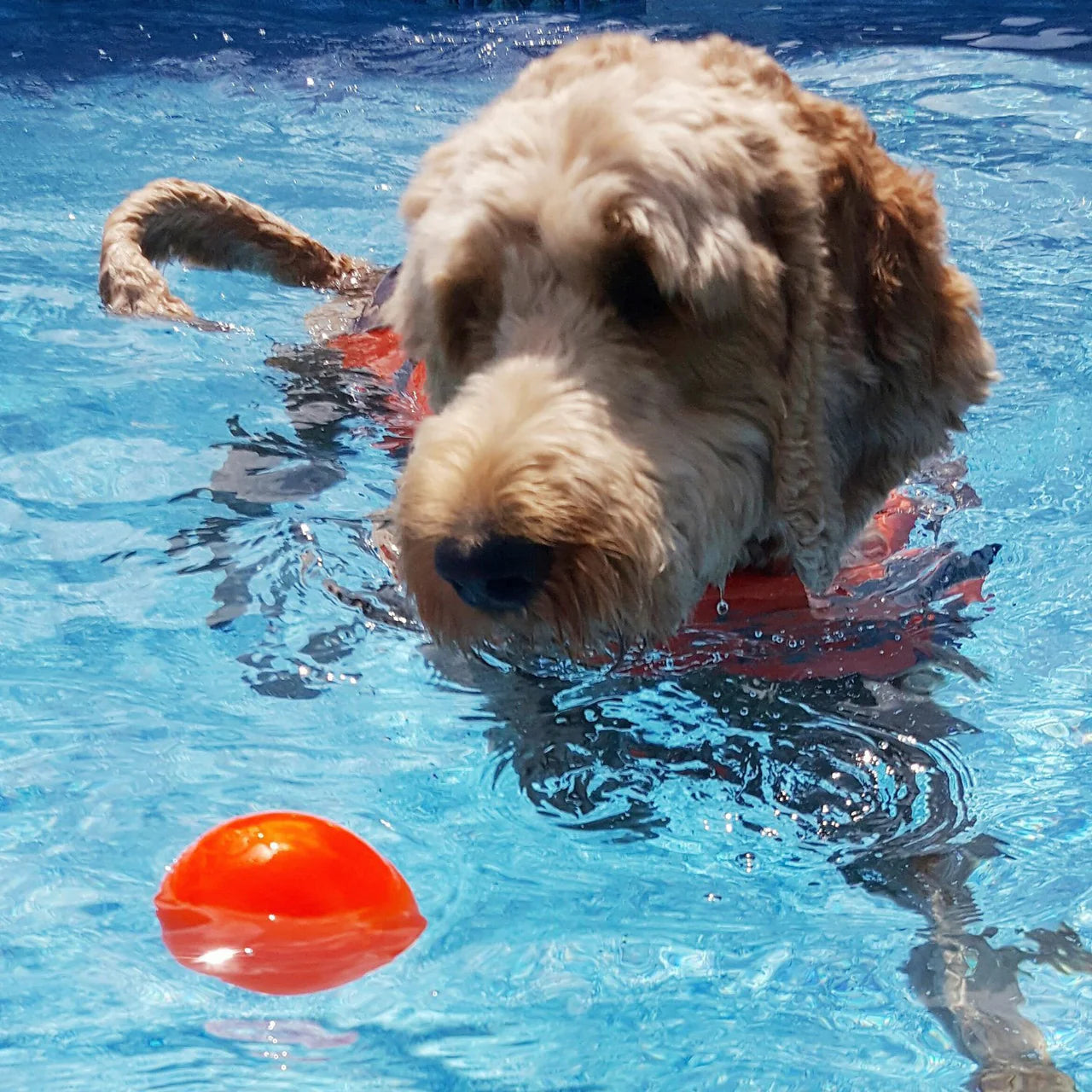 BALL Lifetime Guaranteed