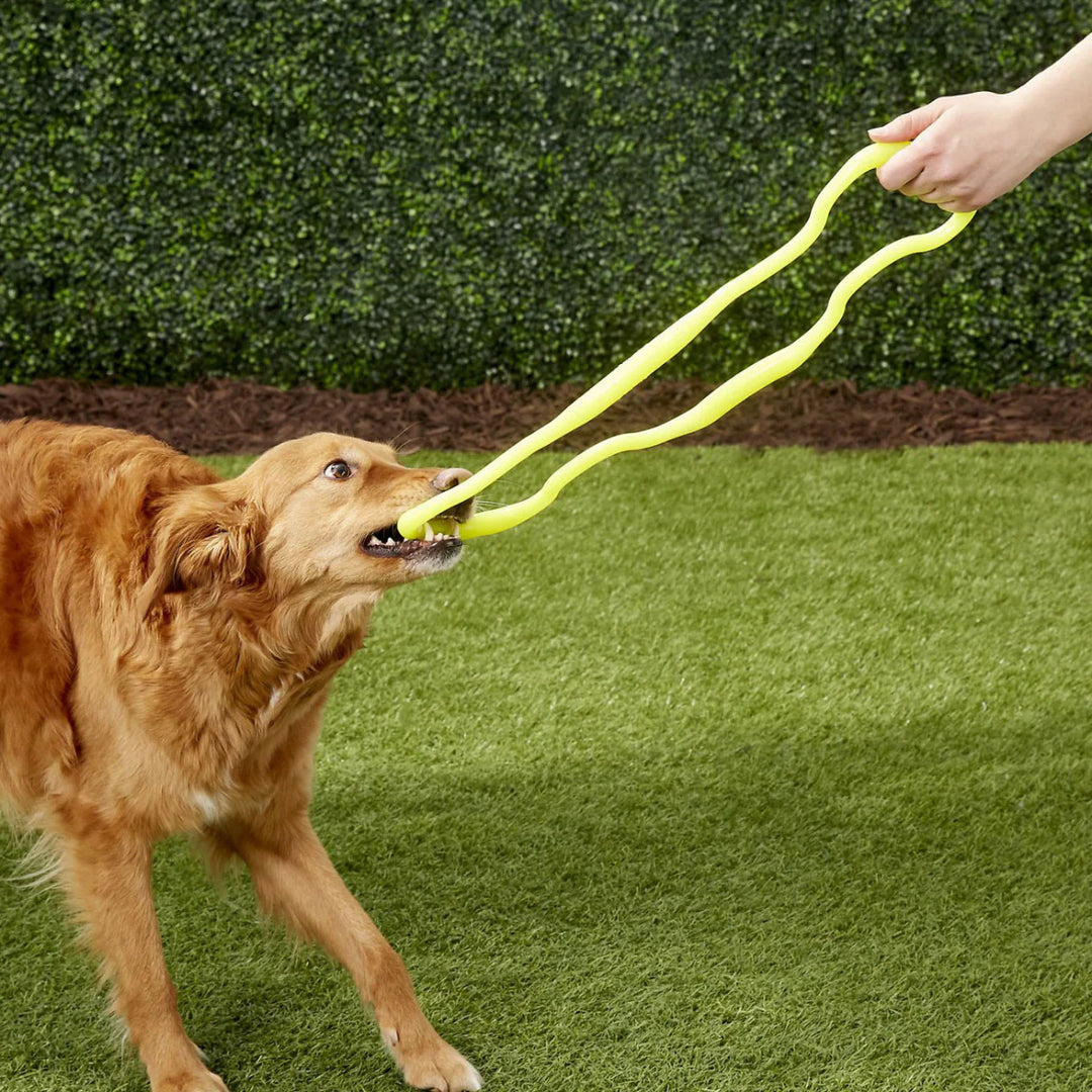 Ruff Dawg Super Tug | Lifetime Guarantee