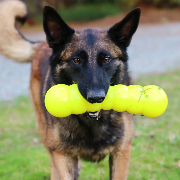 Ruff Dawg Dawg-Buster | Lifetime Guarantee