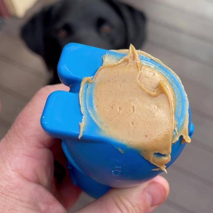 Bunny Ultra Durable Chew Toy