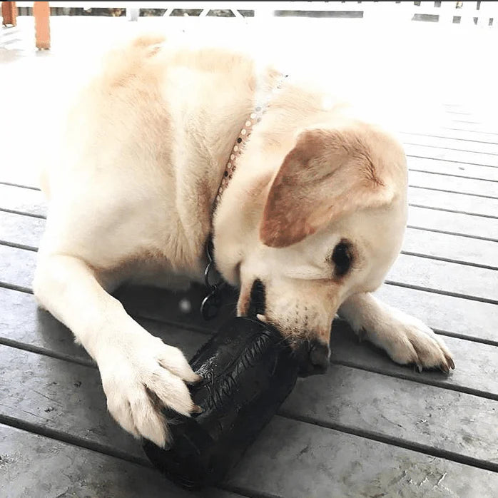 Magnum Soda Can Durable Rubber Chew Toy - Extra Large