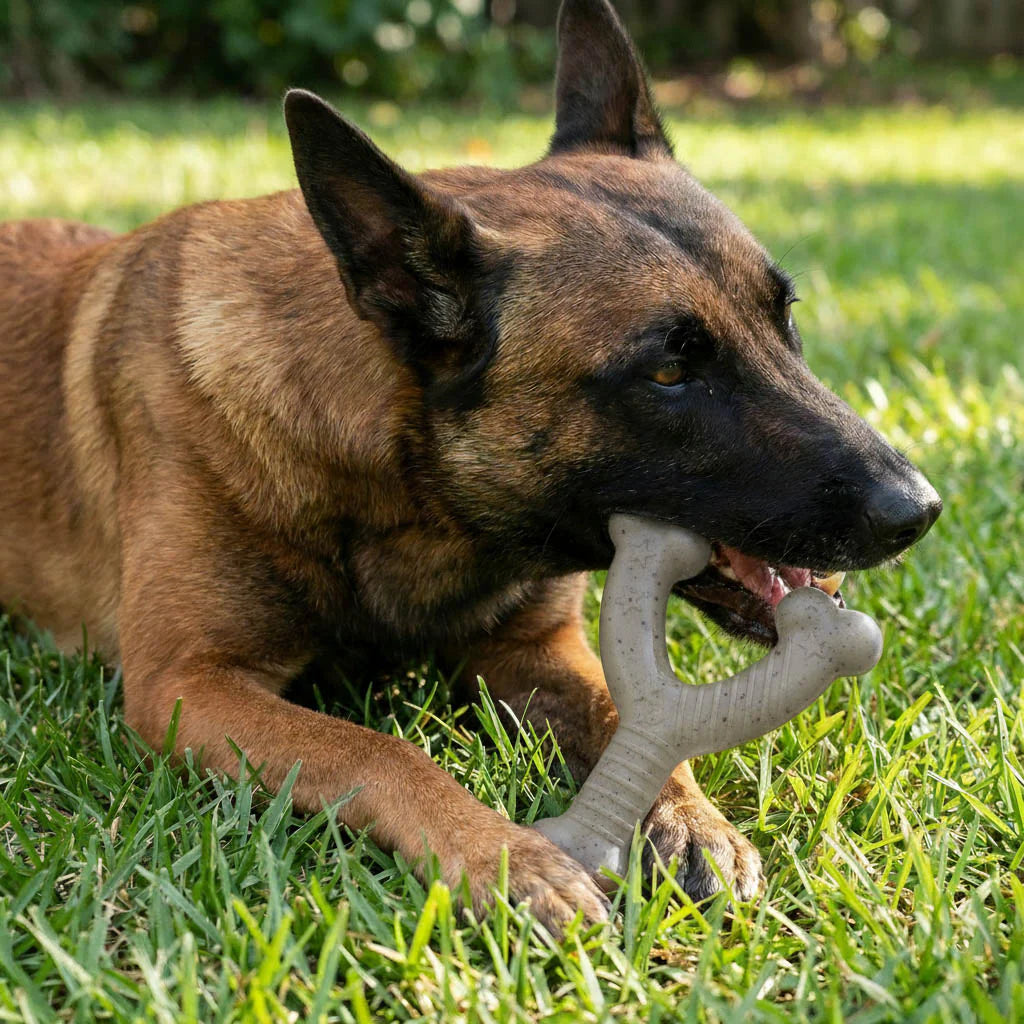 Stars and Stripes Wishbone Nylon Chew Toy | Aggressive Chewers