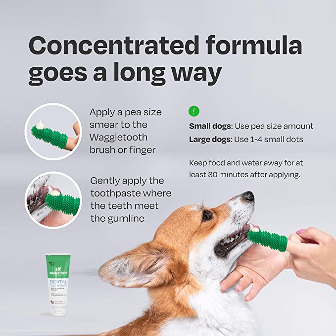 Dog Toothpaste with Probiotics