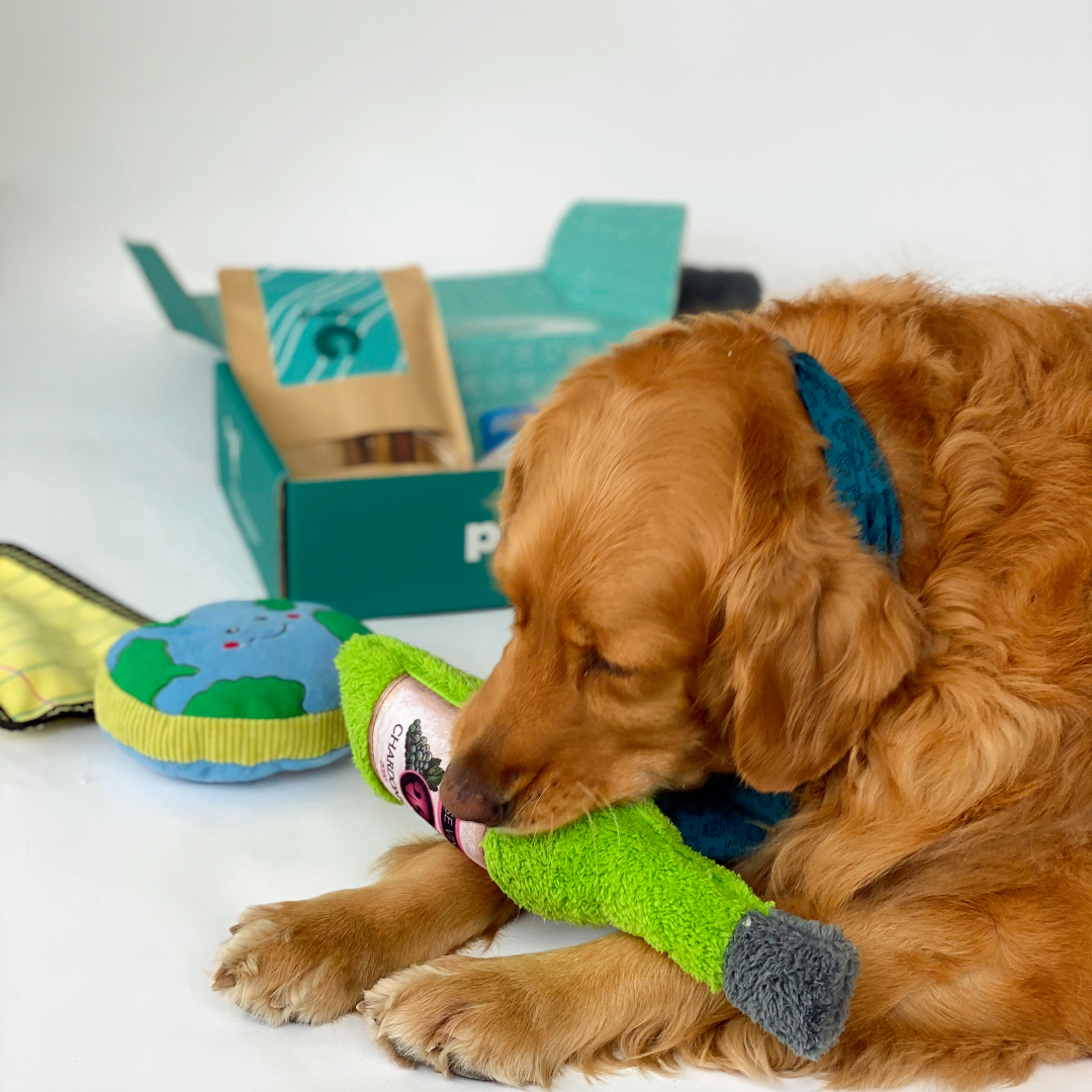 12 Months: Gift Box