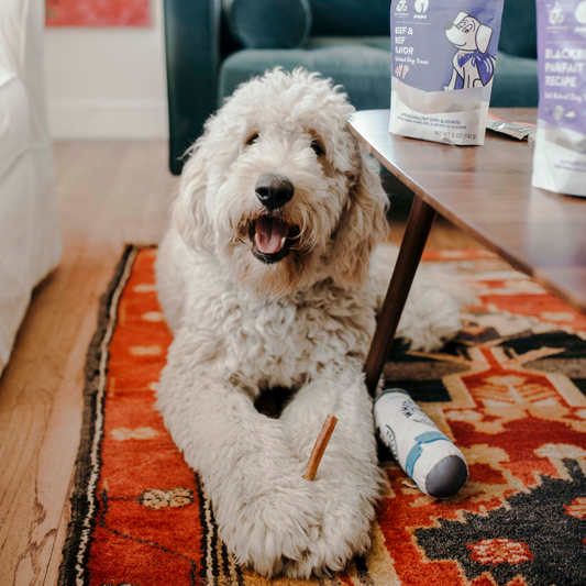 3 Months: Bully Sticks & Treats Box