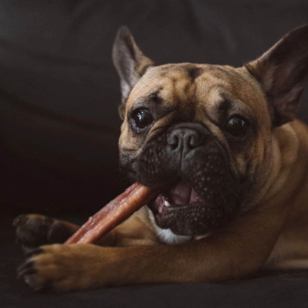 12 Months: Bully Sticks & Treats Box