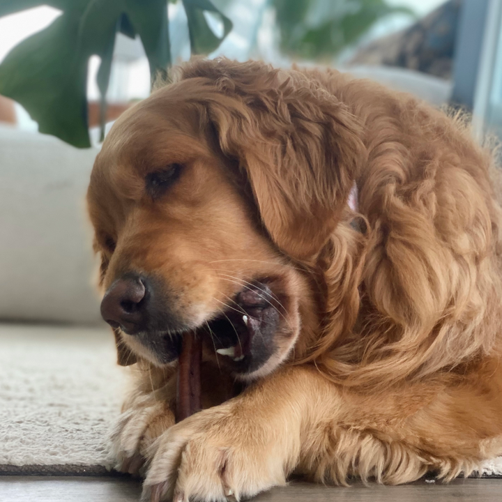 3 Months: Power Chewers Box
