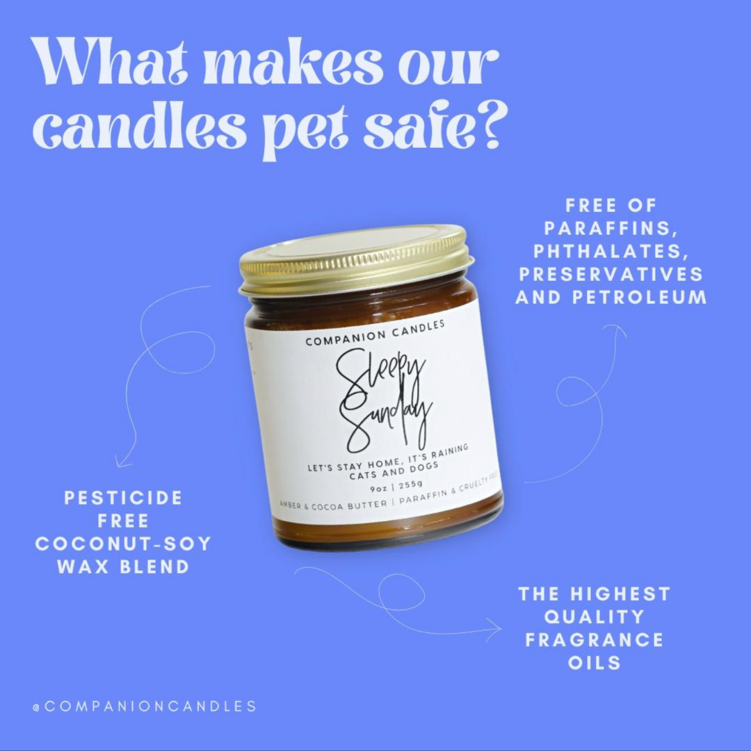 Yin & Yang // Honey & Musk: Pet-Friendly Candle