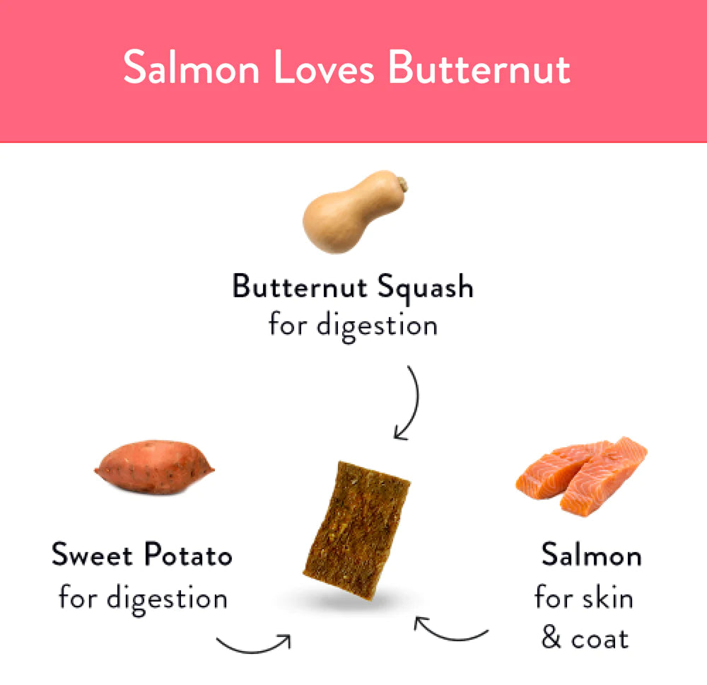 Salmon Loves Butternut Jerky Bites