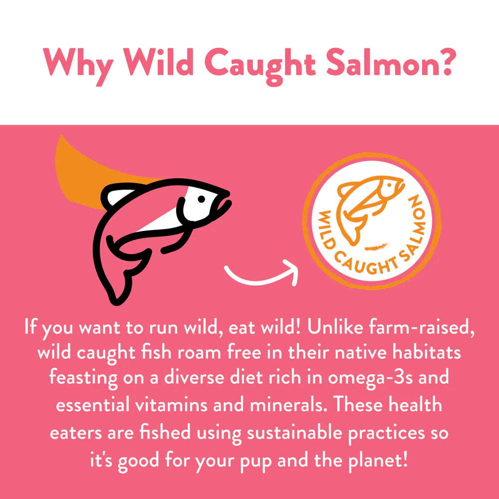 Salmon Loves Butternut Jerky Bites