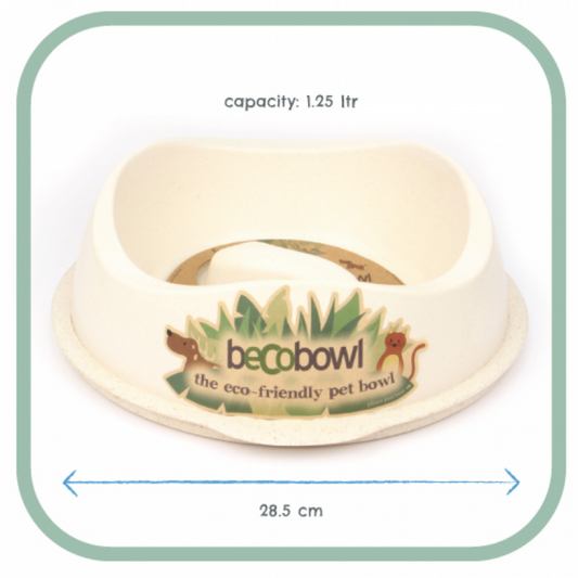 Eco-Friendly Slow Feed Bowl