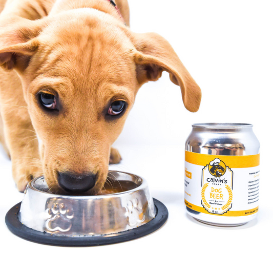 Doggy Beer
