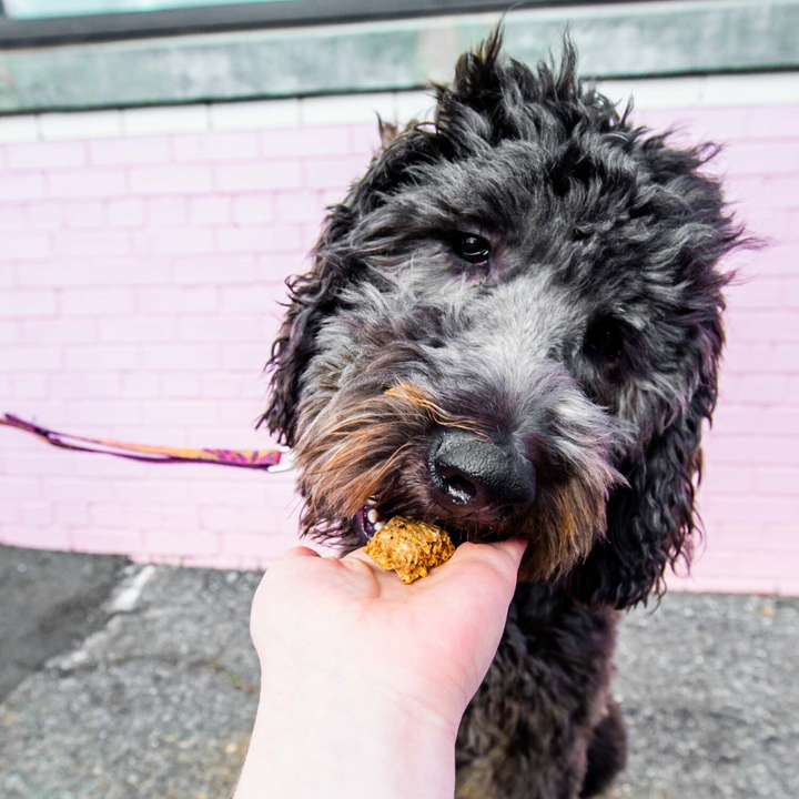 Crunchy Treats | Curated Selections