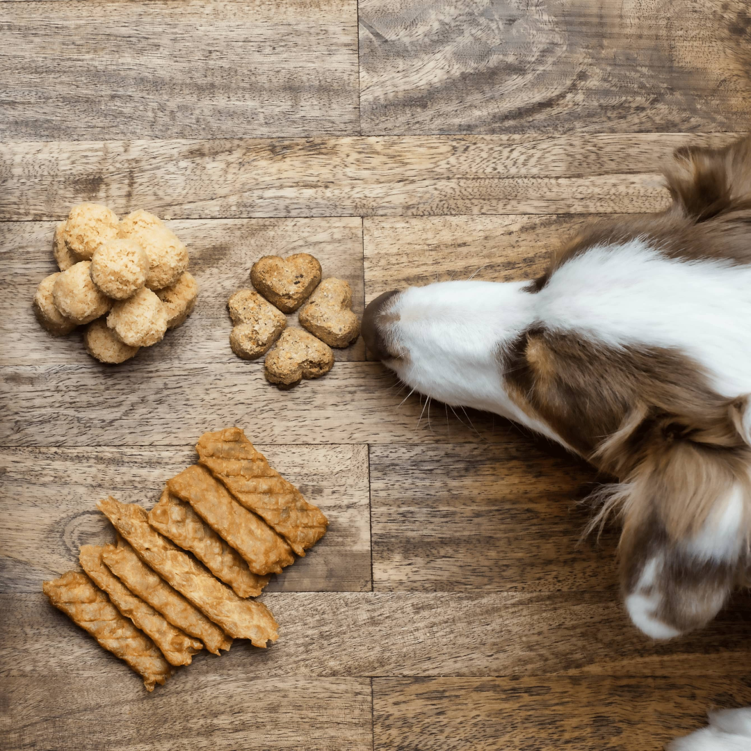 Crunchy Treats | Curated Selections