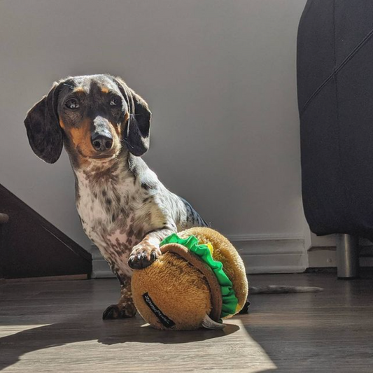 NomNomz Cheeseburger