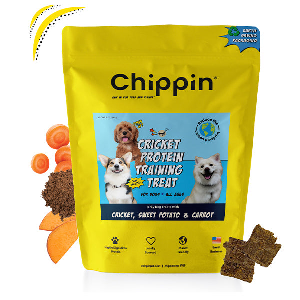 Cricket Protein Soft Jerky