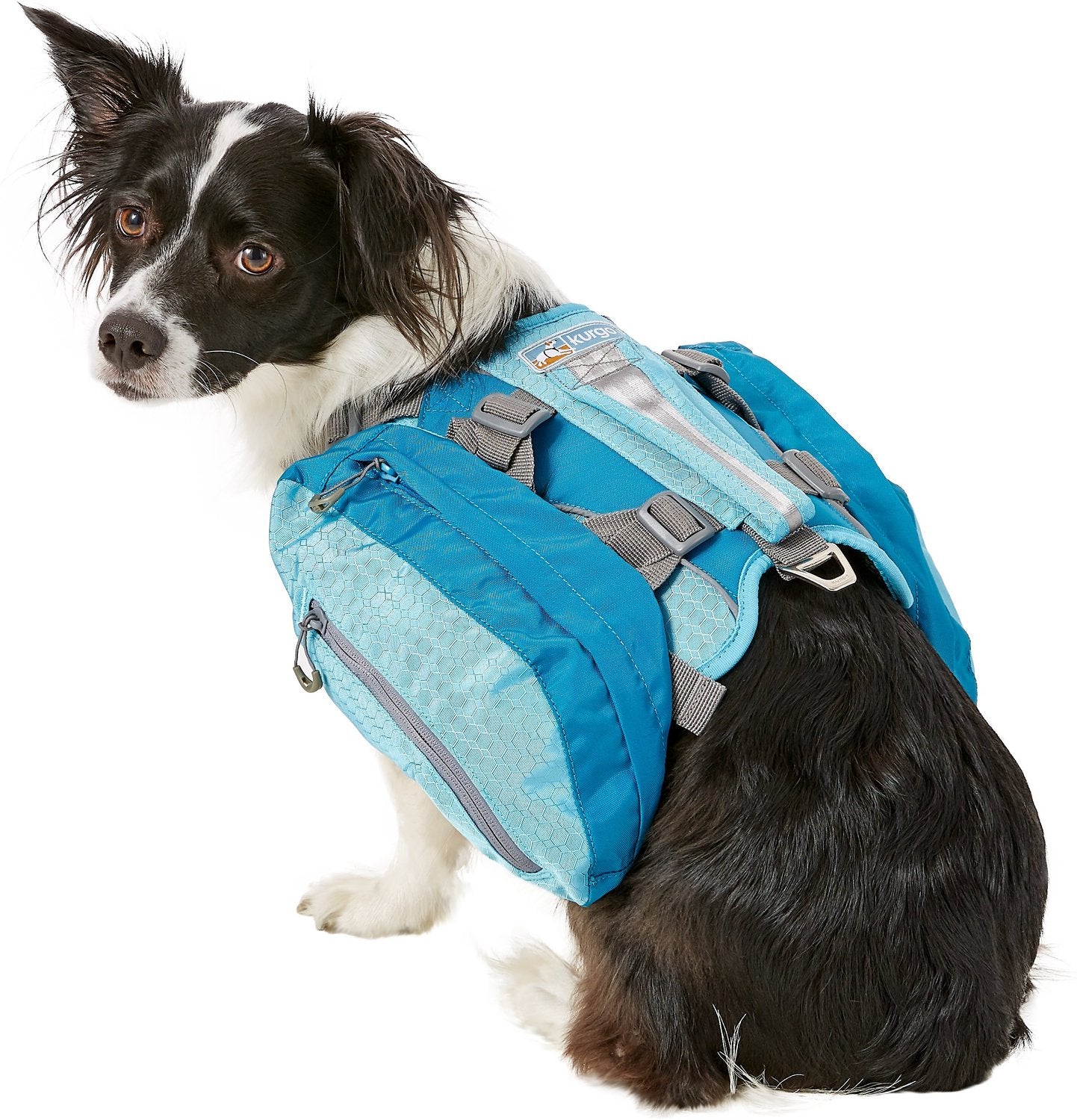 Baxter Dog Backpack